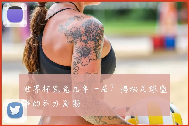 世界杯究竟几年一届？揭秘足球盛事的举办周期